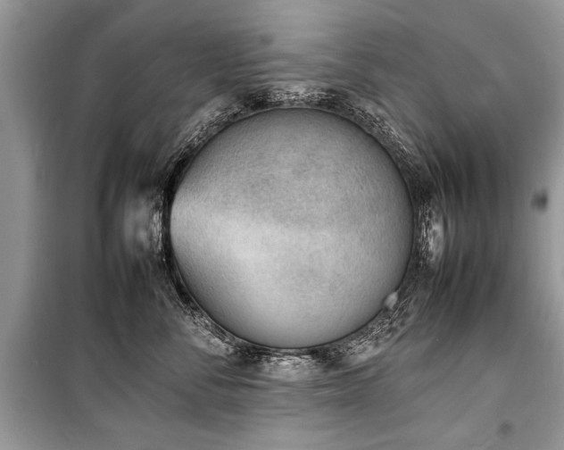 X0000100980716200806241543