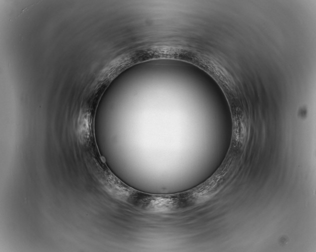 X0000100980718200806241543