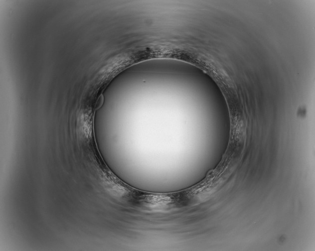 X0000100980719200806241543