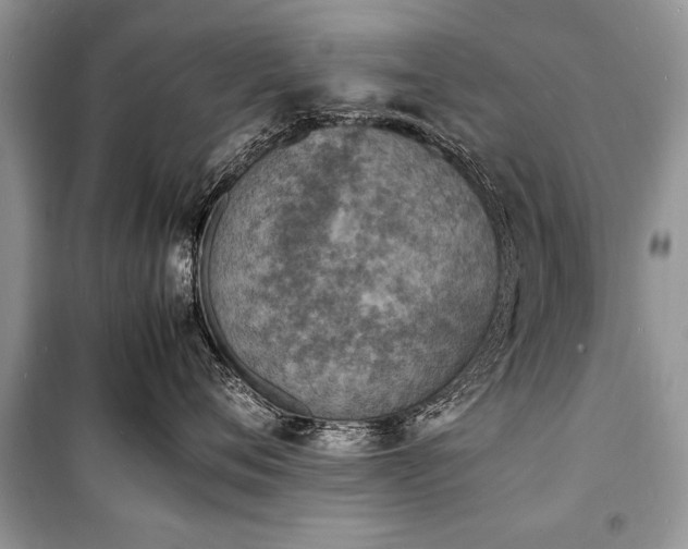 X0000100980720200806241543