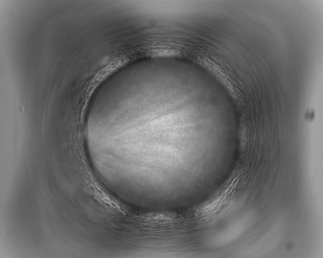 X0000100980721200806241542