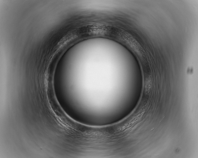 X0000100980722200806241542