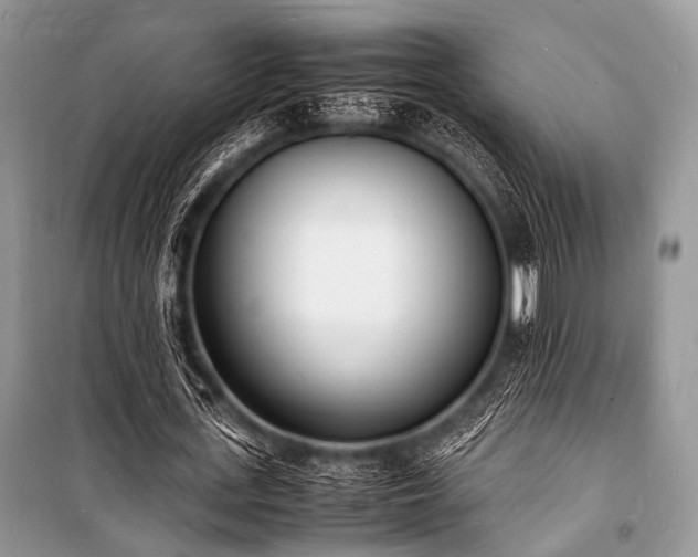 X0000100980723200806241542
