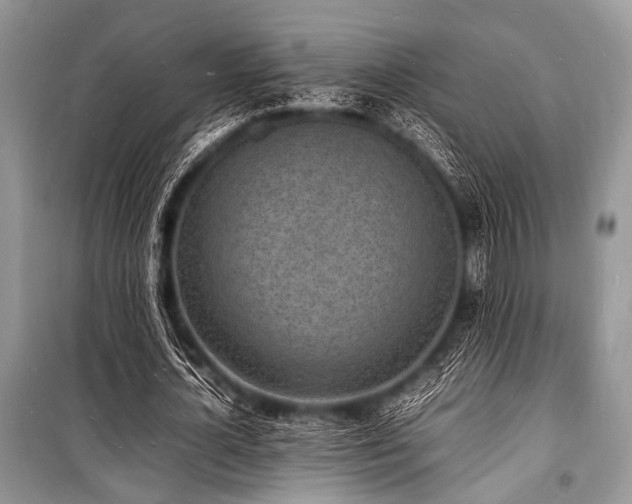 X0000100980724200806241542