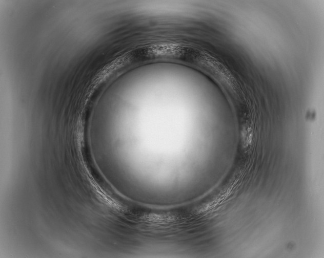 X0000100980725200806241542