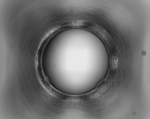X0000100980726200806241542
