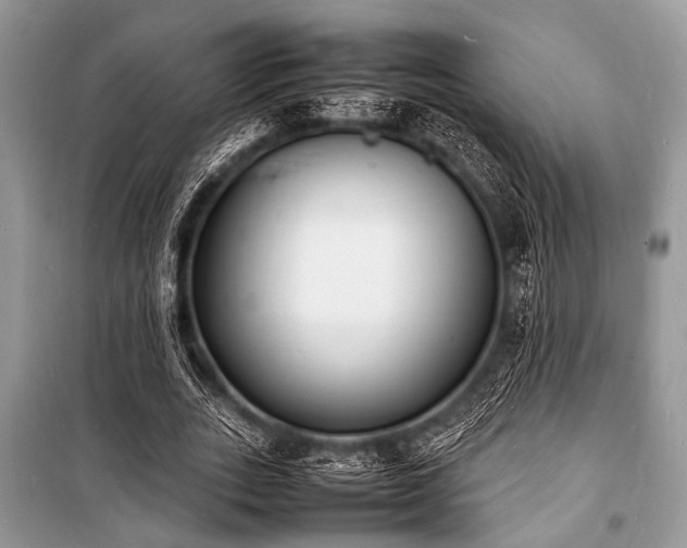X0000100980727200806241542