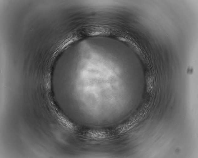 X0000100980729200806241542