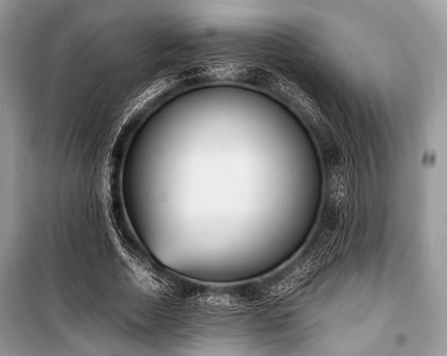 X0000100980730200806241542