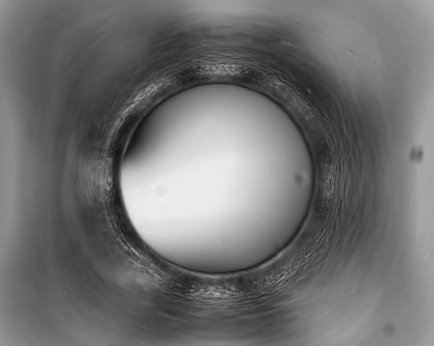 X0000100980731200806241542