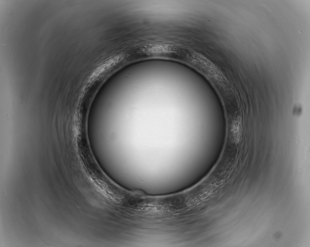 X0000100980732200806241542