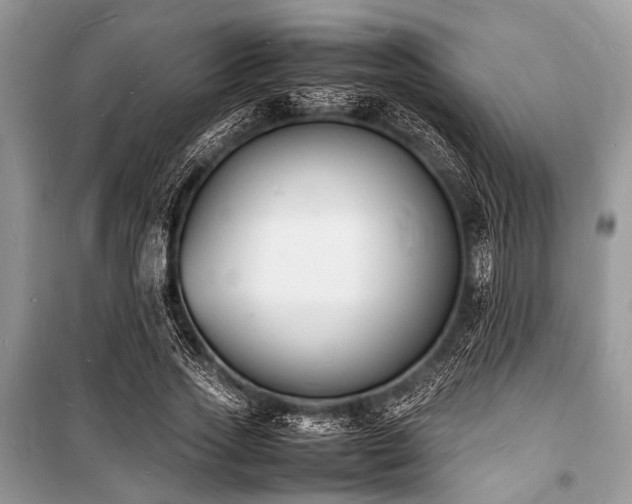 X0000100980733200806241542