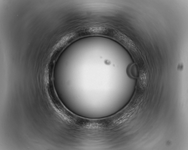 X0000100980734200806241542