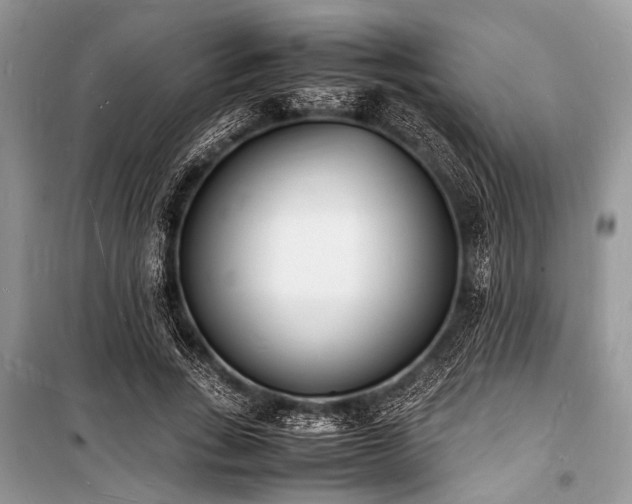X0000100980735200806241542