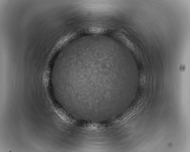 X0000100980736200806241542