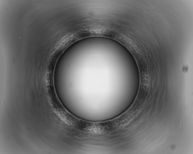 X0000100980738200806241542