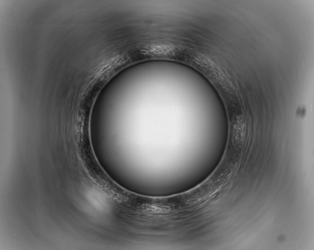 X0000100980739200806241542