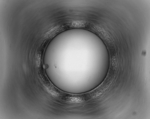X0000100980741200806241542