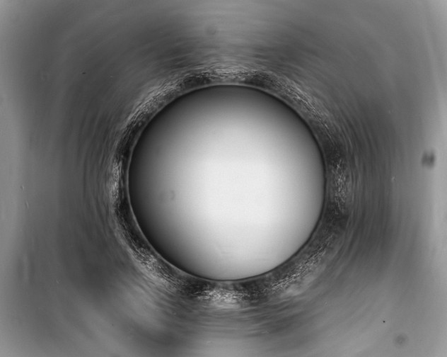 X0000100980742200806241542