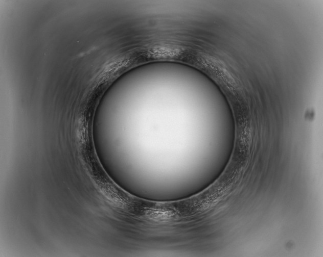 X0000100980743200806241542