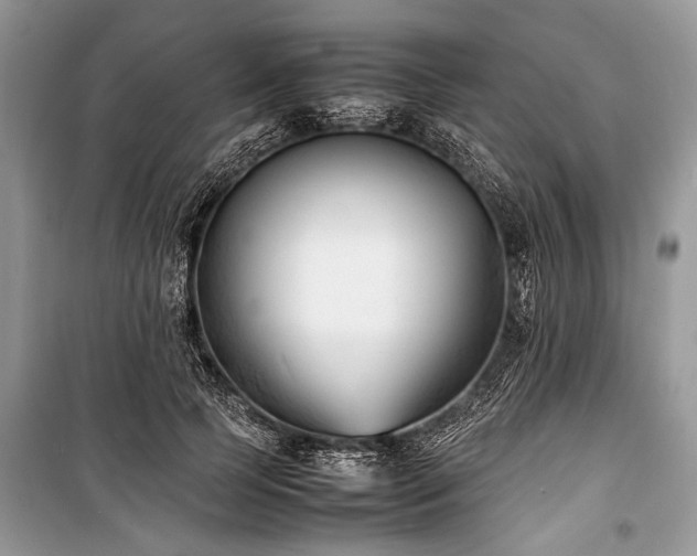 X0000100980745200806241542
