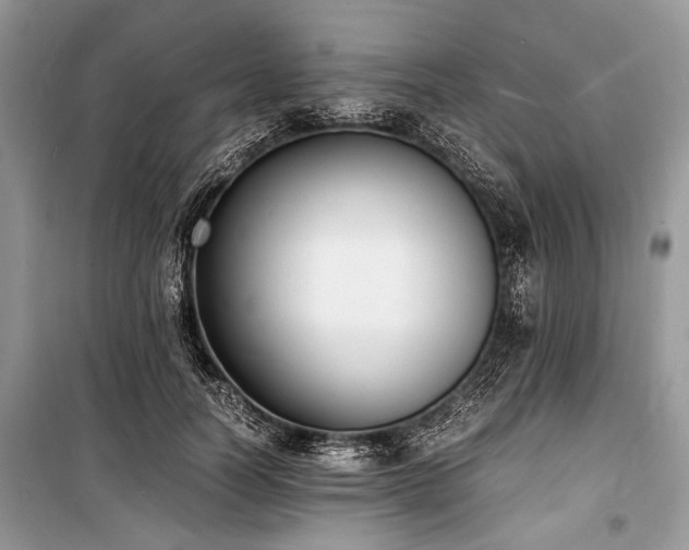 X0000100980746200806241542