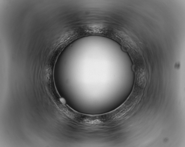 X0000100980747200806241542