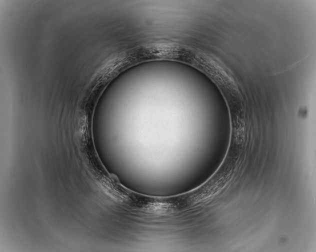 X0000100980748200806241542
