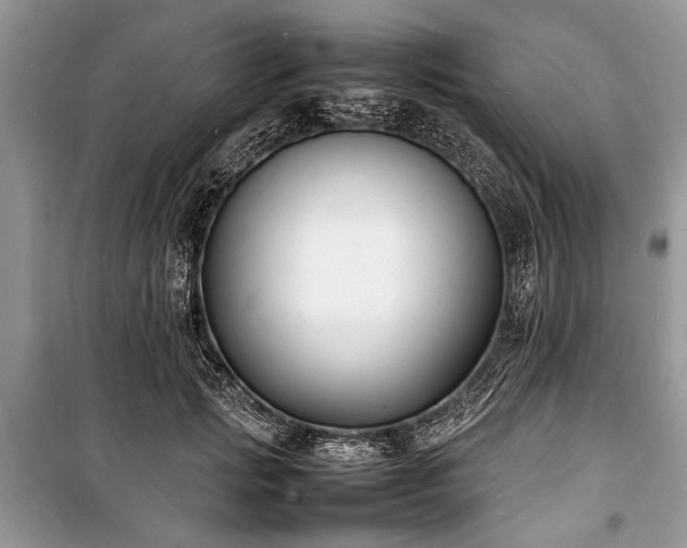 X0000100980749200806241542