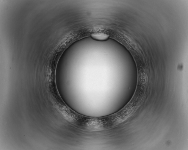 X0000100980750200806241542