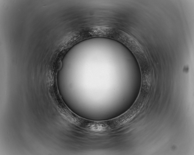 X0000100980751200806241542