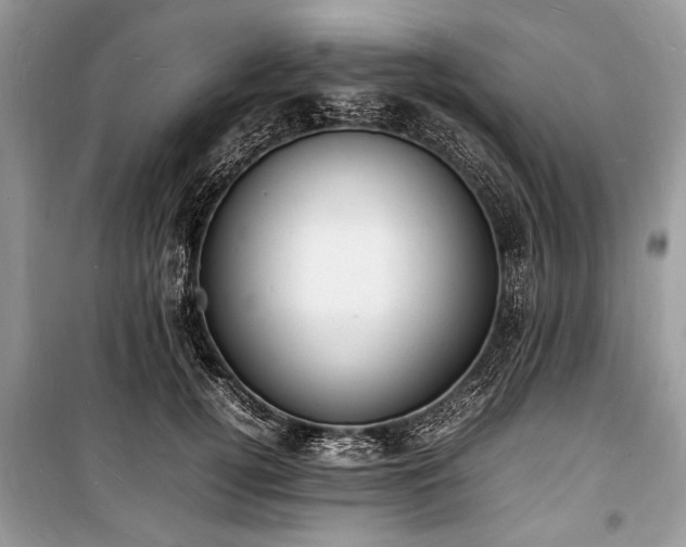 X0000100980752200806241542