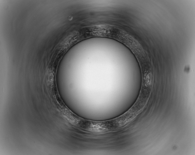 X0000100980753200806241542