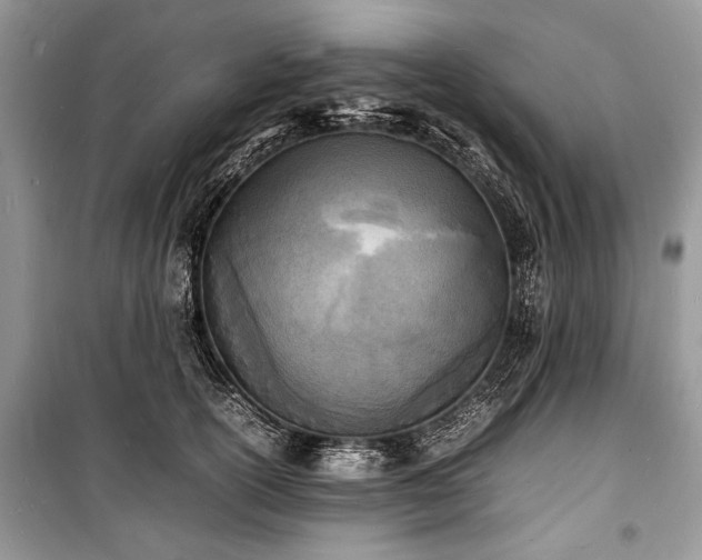 X0000100980754200806241542