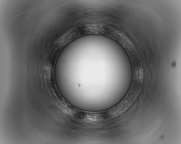 X0000100980757200806241542