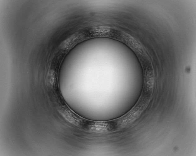 X0000100980758200806241542