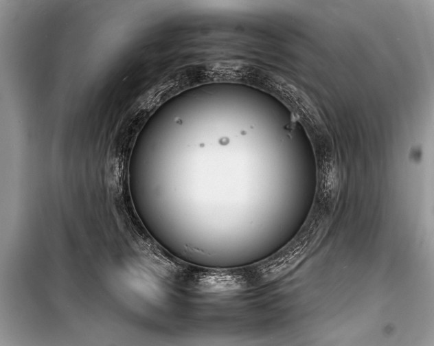 X0000100980759200806241542