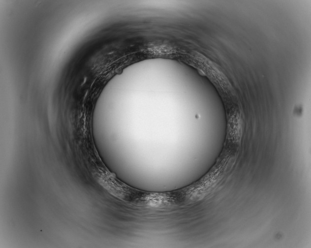 X0000100980762200806241543