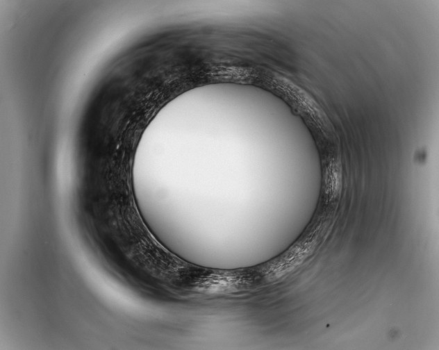 X0000100980764200806241543