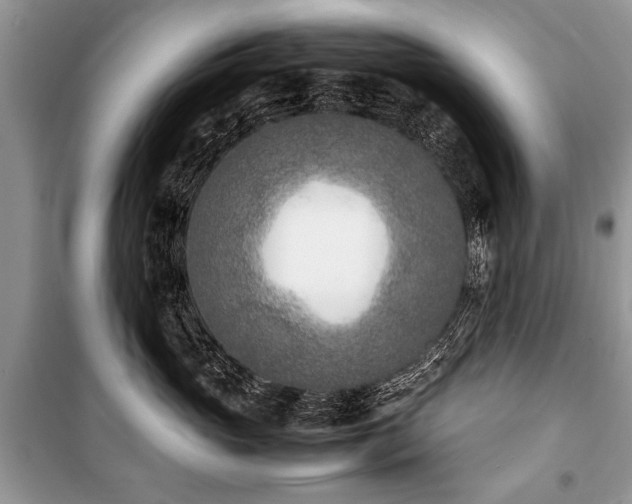 X0000100980765200806241543