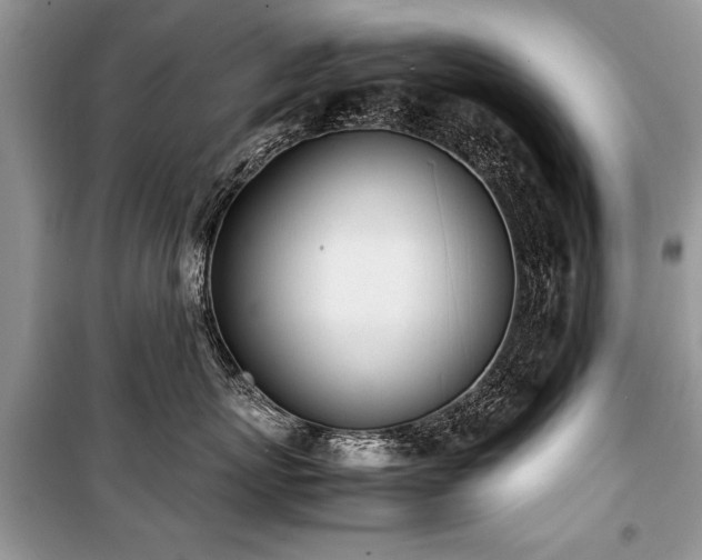 X0000100980767200806241543