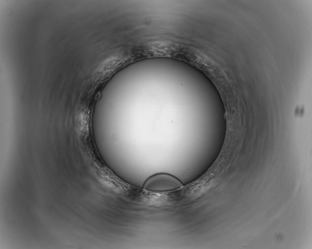 X0000100980768200806241543