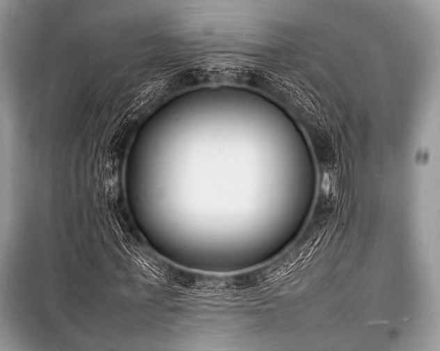 X0000100980771200806241542