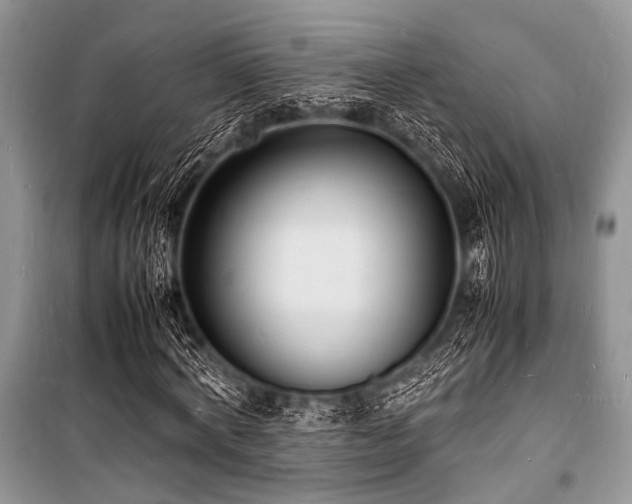 X0000100980772200806241542
