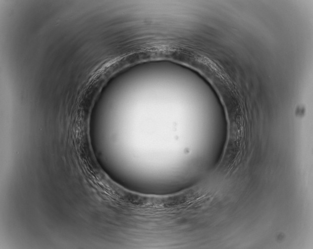 X0000100980773200806241542