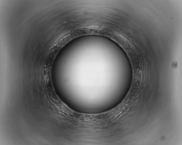 X0000100980774200806241542