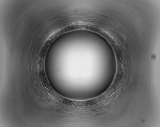 X0000100980775200806241542