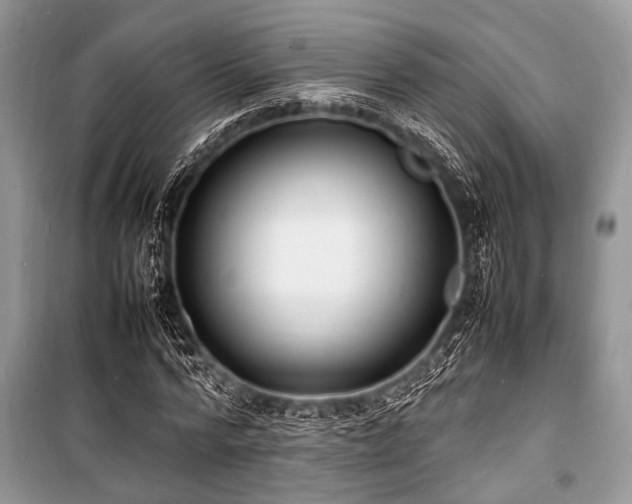 X0000100980776200806241542