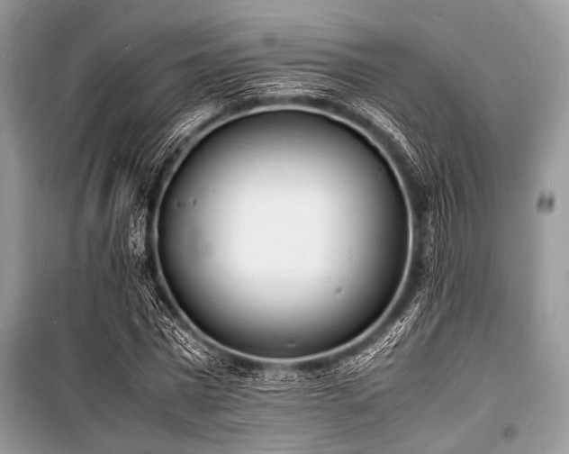 X0000100980777200806241542