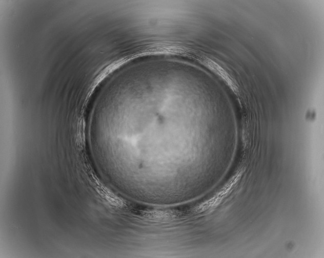 X0000100980781200806241542